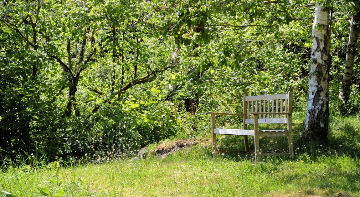 Benar Bach – bench 1150×632-min