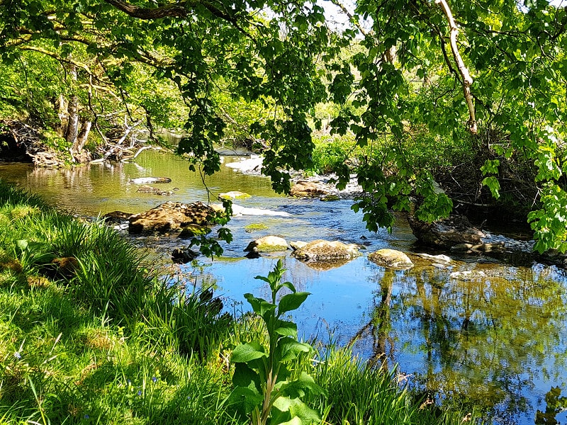 Summer by the river at Benar Benar Cottages Penmachno Betws-y-coed - surrounded by forest and farmland. Somewhere quiet to reconnect with nature