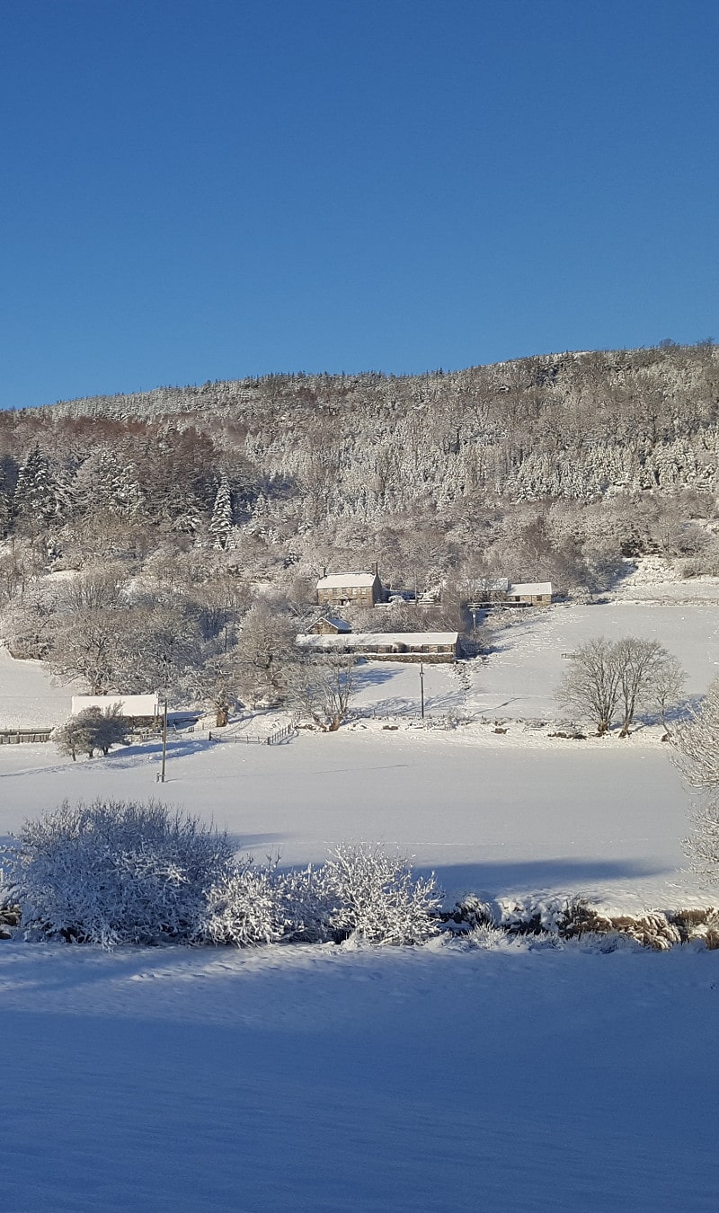 Winter at Benar Cottages Winter at Benar Cottages